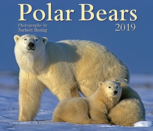 Polar Bears 2019