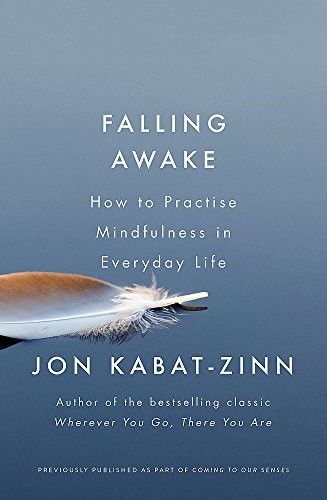 Falling Awake: How to Practice Mindfulness in Everyday Life (Coming to Our Senses Part 2)