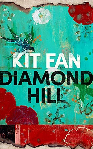 Diamond Hill: Totally unputdownable and evocative literary fiction