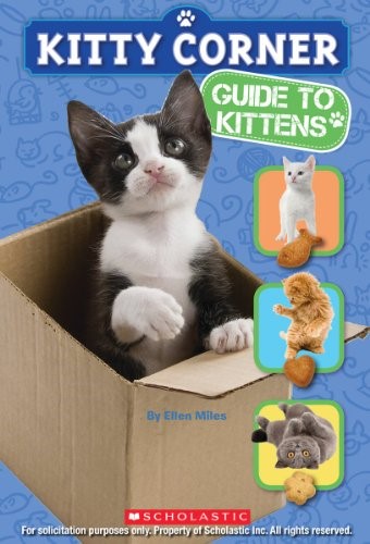 Guide to Kittens (Kitty Corner (Paperback))