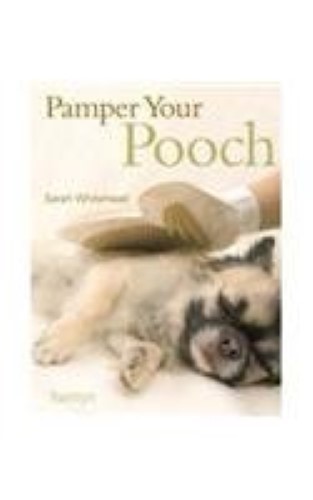 Pamper Your Pooch
