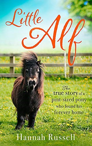 Little Alf: The true story of a pint-sized pony who found his forever home