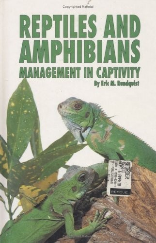 Reptiles and Amphibians (Rain Forest (Rain Tree)) Reptiles and Amphibians (Rain Forest (Rain Tree))