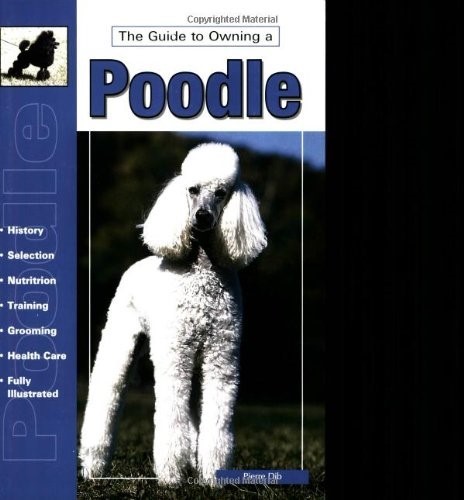 Guide to Owning a Poodle (Re Dog)