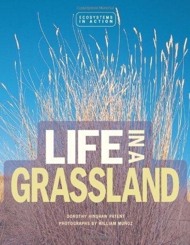 Life in a Grassland (Ecosystems in Action)