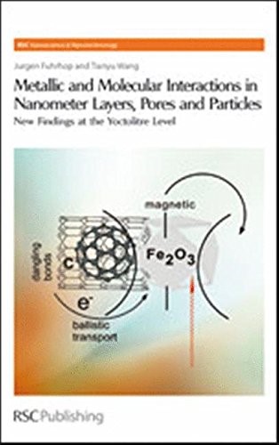 Molecular Interactions in Nanometer Layers, Pores and Particles: New Findings at the Yoctovolume Level (Nanoscience & Nanotechnology): 10: New ... Level (Nanoscience & Nanotechnology Series)