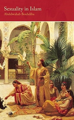 Sexuality in Islam (Saqi Essentials) (Saqi Essentials S.) Sexuality in Islam (Saqi Essentials) (Saqi Essentials S.)