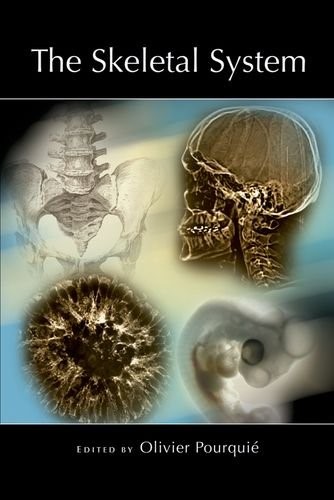 The Skeletal System (Cold Spring Harbor Monograph Series)