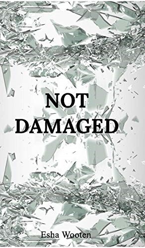 Not Damaged Not Damaged