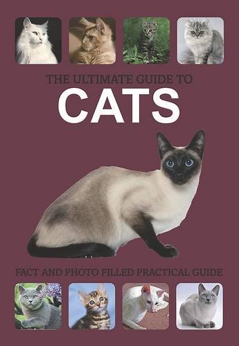 The Ultimate Guide to Cats