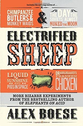 Electrified Sheep