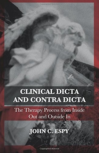 Clinical Dicta and Contra Dicta: The Therapy Process from Inside Out and Outside In (The Karnac Library)