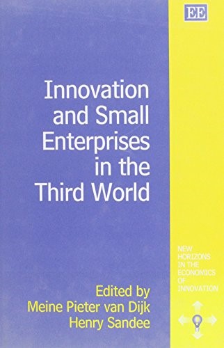Innovation and Small Enterprises in the Third World (New Horizons in the Economics of Innovation series)