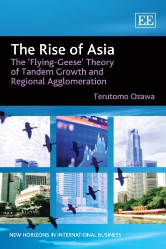 The Rise of Asia: The �Flying-Geese� Theory of Tandem Growth and Regional Agglomeration (New Horizons in International Business series)