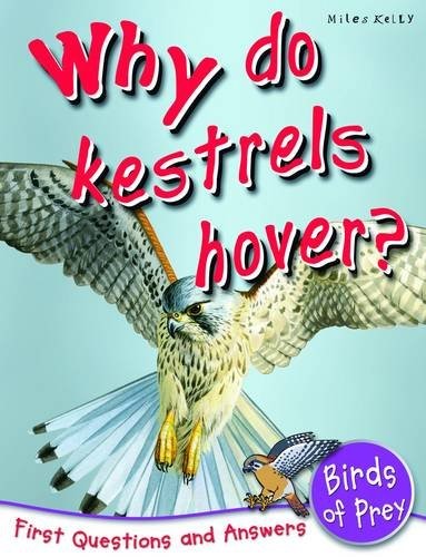 Birds of Prey: Why Do Kestrels Hover? (First Questions and Answers) (First Questions & Answer/Birds)