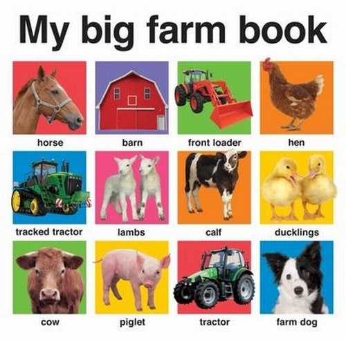 My Big Farm Book (My Big Board Books)