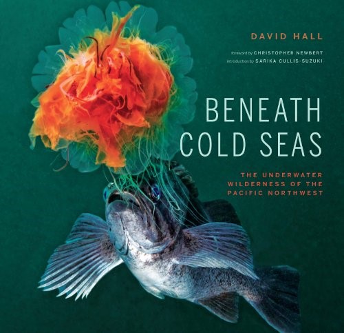 Beneath Cold Seas: The Underwater Wilderness of the Pacific Northwest