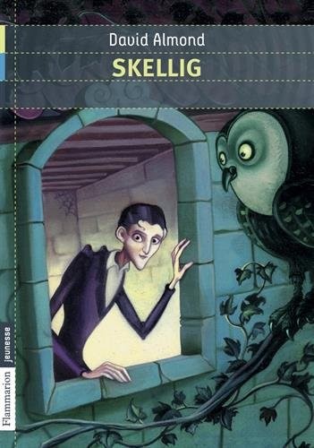 Skellig [French language book]