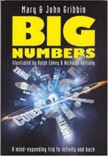 My big numbers book