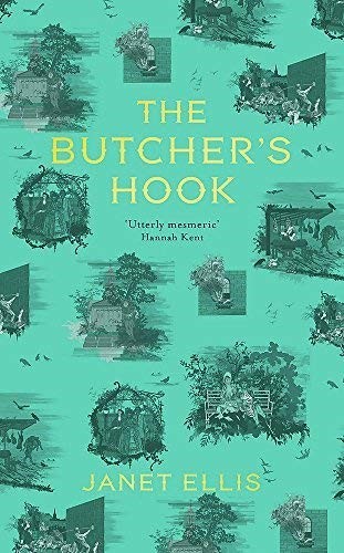 The Butcher's Hook: Longlisted for the Desmond Elliot Prize 2016 by Janet Ellis (2016-02-25)