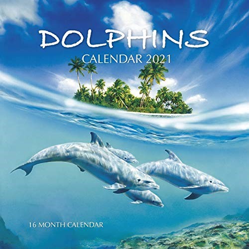 Dolphins Calendar 2021: 16 Month Calendar