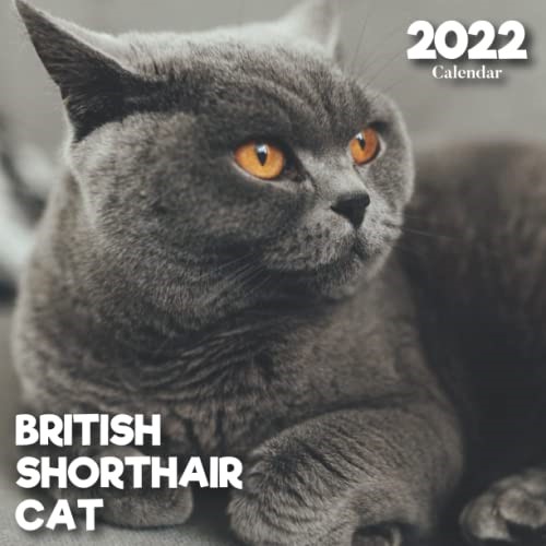 British Shorthair Calendar 2022: A Monthly and Weekly Calendar 2022 - 12 months - With British Shorthair Pictures,to Write in Appointment, Birthday, ... Ideas For Men, Women, Girls, Boys in Bulk